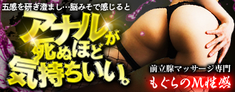 The Night I Detoured to Prostate Massage Specialist Mogura no M-Seikan Nishi-Nippori on a Tokyo Business Trip